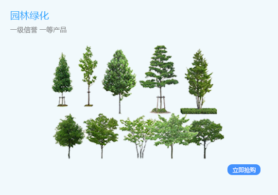 园林绿化