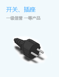 电源插头