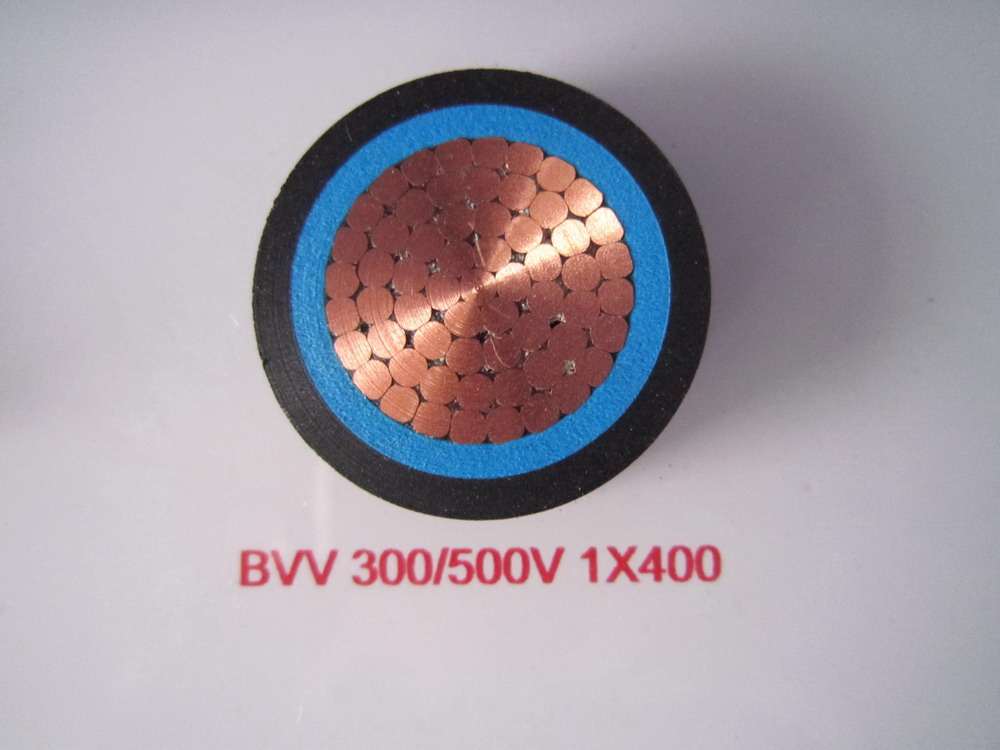 300/500V及以下铜芯PVC绝缘PVC护套电缆